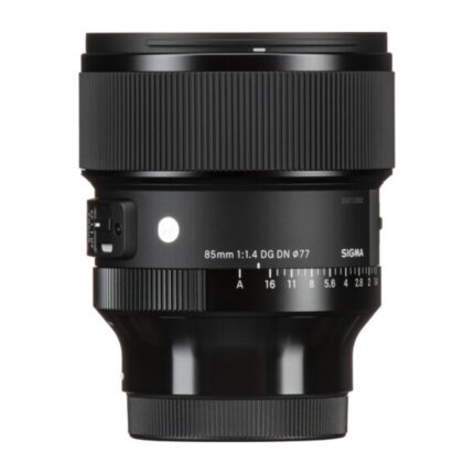 Rent 85 Sigma Lens for E-mount in Chandigarh and Mohali