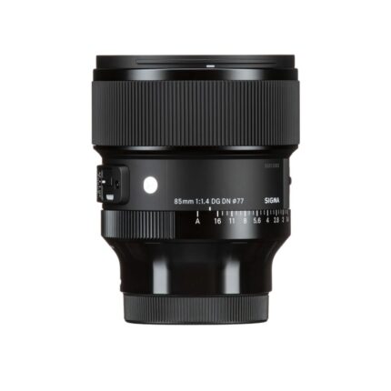 Rent 85 Sigma Lens for E-mount in Chandigarh and Mohali
